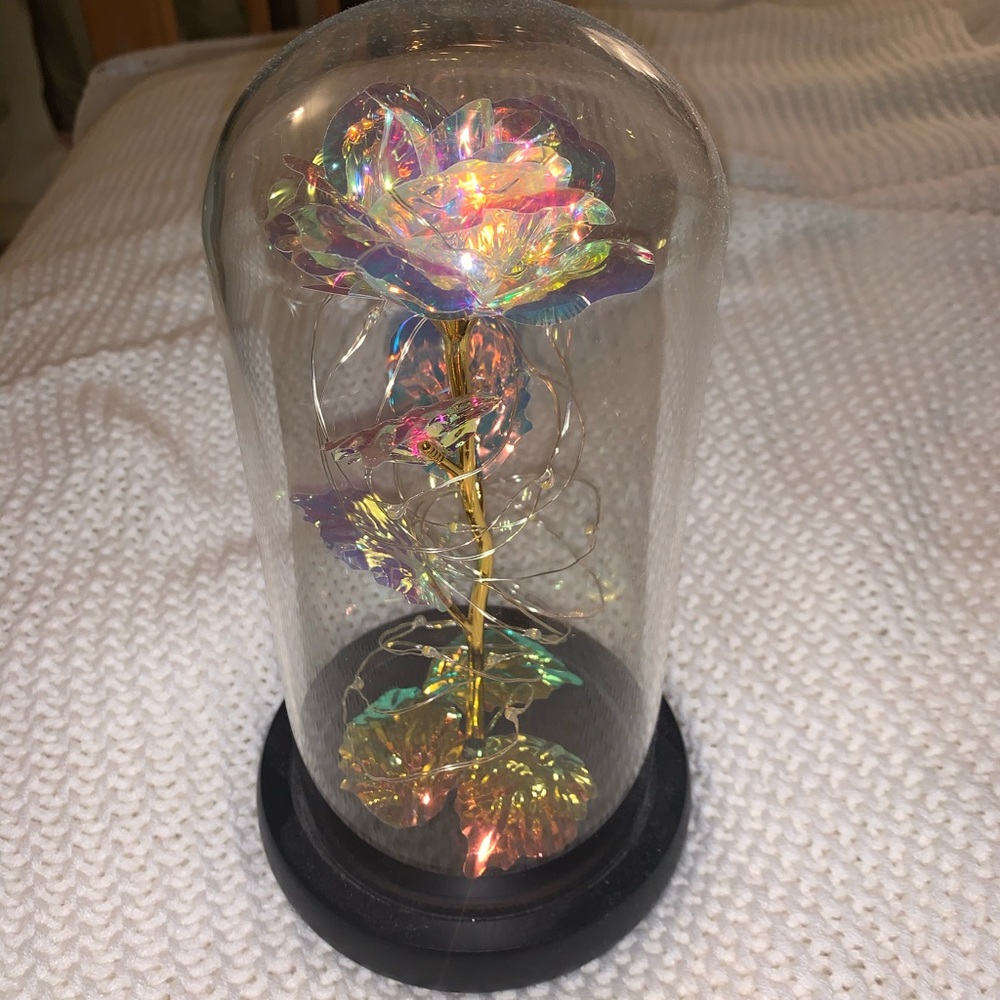 Galaxy rose in glass dome